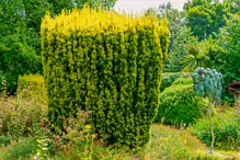 THE PATRICK CORISH MEMORIAL BY RICHIE CLARKE [THE JUNIOR GARDEN AT MAYNOOTH COLLEGE]-237722-1