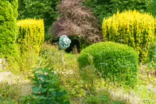 THE PATRICK CORISH MEMORIAL BY RICHIE CLARKE [THE JUNIOR GARDEN AT MAYNOOTH COLLEGE]-237723-1