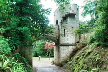 THE ANNIE LEE BRIDGE AT ST ANNES PARK [A CELEBRATORY SHAM RUIN]-237251-1