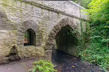 THE GOTHIC BRIDGE [MAY ALSO BE REFERRED TO AS THE BRIDGE AND HERMITAGE]-237195-1