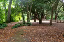 THE WOODLANDS AND THE TREES [ST ANNE'S PARK IN RAHENY]-241765-1