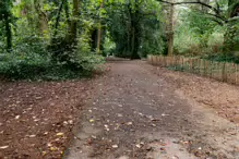 THE WOODLANDS AND THE TREES [ST ANNE'S PARK IN RAHENY]-241773-1