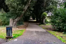 THE WOODLANDS AND THE TREES [ST ANNE'S PARK IN RAHENY]-241777-1