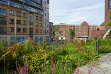 ST LUKE'S AVENUE [THE NEW PUBLIC SPACE IN FRONT OF THE OLD CHURCH]-236777-1