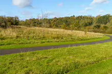 RECENT VISIT TO WATERSTOWN PARK IN PALMERSTOWN [21 OCTOBER 2024]-242986-1