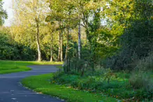 RECENT VISIT TO WATERSTOWN PARK IN PALMERSTOWN [21 OCTOBER 2024]-242989-1