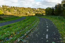 RECENT VISIT TO WATERSTOWN PARK IN PALMERSTOWN [21 OCTOBER 2024]-242993-1