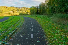 RECENT VISIT TO WATERSTOWN PARK IN PALMERSTOWN [21 OCTOBER 2024]-242994-1