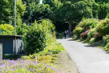 THE AREA NEAR THE OLD KIOSK SOON TO BE A TEAROOM [BLACKROCK PUBLIC PARK]-238267-1