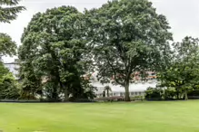 BOTANIC GARDENS IN BELFAST [26 JUNE 2014]-233025-1