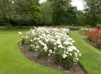 BOTANIC GARDENS IN BELFAST [26 JUNE 2014]-233031-1