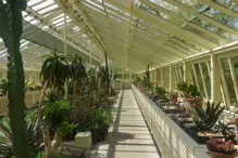 THE MANY GLASSHOUSES AT THE BOTANIC GARDENS IN DUBLIN [GLASNEVIN MAY 2013]-234474-1