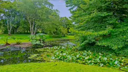 THE POND AREA OF THE BOTANIC GARDENS [AS IT WAS BACK IN 2009]-232982-1