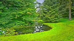 THE POND AREA OF THE BOTANIC GARDENS [AS IT WAS BACK IN 2009]-232983-1