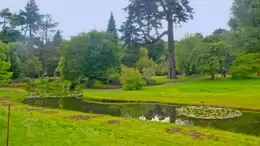 THE POND AREA OF THE BOTANIC GARDENS [AS IT WAS BACK IN 2009]-232984-1