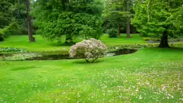 THE POND AREA OF THE BOTANIC GARDENS [AS IT WAS BACK IN 2009]-232985-1