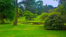 THE POND AREA OF THE BOTANIC GARDENS [AS IT WAS BACK IN 2009]-232986-1