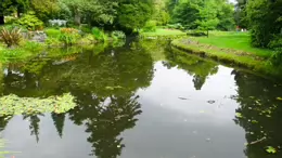 THE POND AREA OF THE BOTANIC GARDENS [AS IT WAS BACK IN 2009]-232992-1