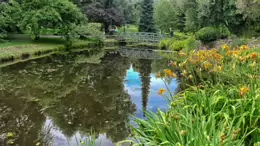 THE POND AREA OF THE BOTANIC GARDENS [AS IT WAS BACK IN 2009]-232995-1