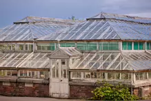 THE VICTORIA WATERLILY HOUSE AT THE BOTANIC GARDENS IN DUBLIN [CURRENTLY UNDERGOING RESTORATION AS OF MAY 2024]-233012-1