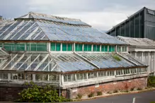 THE VICTORIA WATERLILY HOUSE AT THE BOTANIC GARDENS IN DUBLIN [CURRENTLY UNDERGOING RESTORATION AS OF MAY 2024]-233013-1