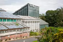 THE VICTORIA WATERLILY HOUSE AT THE BOTANIC GARDENS IN DUBLIN [CURRENTLY UNDERGOING RESTORATION AS OF MAY 2024]-233014-1