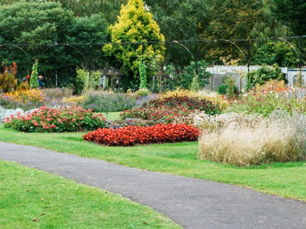 OCTOBER 2024 VISIT Autumn is a truly magical time to visit botanic gardens. As the days shorten and the air turns crisp, the gardens...