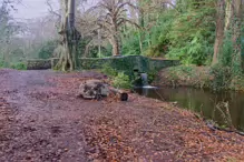 SOME OF THE BRIDGES IN BUSHY PARK [1 JANUARY 2013 WHICH WAS MY BIRTHDAY]-234864-1