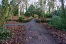 SOME OF THE BRIDGES IN BUSHY PARK [1 JANUARY 2013 WHICH WAS MY BIRTHDAY]-234877-1