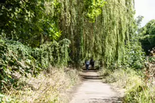 MILLTOWN SECTION OF THE DODDER TRAIL [DOGS ARE WELCOME BUT MUST BE ON A LEASH]-239205-1