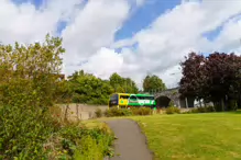 MILLTOWN SECTION OF THE DODDER TRAIL [DOGS ARE WELCOME BUT MUST BE ON A LEASH]-239212-1