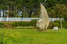 WALKING FROM SANDYMOUNT BEACH TO PIGEON HOUSE ROAD [VIA IRISHTOWN NATURE PARK]-239944-1