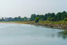 WALKING FROM SANDYMOUNT BEACH TO PIGEON HOUSE ROAD [VIA IRISHTOWN NATURE PARK]-239959-1