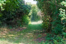 WALKING FROM SANDYMOUNT BEACH TO PIGEON HOUSE ROAD [VIA IRISHTOWN NATURE PARK]-239975-1