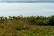 WALKING FROM SANDYMOUNT BEACH TO PIGEON HOUSE ROAD [VIA IRISHTOWN NATURE PARK]-239978-1