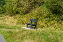 WALKING FROM SANDYMOUNT BEACH TO PIGEON HOUSE ROAD [VIA IRISHTOWN NATURE PARK]-239988-1