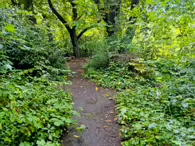 IVEAGH GARDENS [ONCE PRIVATELY OWNED BUT NOW OPEN TO THE PUBLIC]-244021-1