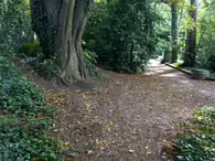 IVEAGH GARDENS [ONCE PRIVATELY OWNED BUT NOW OPEN TO THE PUBLIC]-244022-1