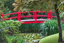 JAPANESE GARDENS [NEAR KILDARE TOWN 27 JULY 2009] X-234947-1