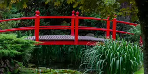 JAPANESE GARDENS [NEAR KILDARE TOWN 27 JULY 2009] X-234951-1