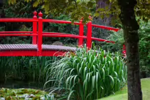 JAPANESE GARDENS [NEAR KILDARE TOWN 27 JULY 2009] X-234952-1