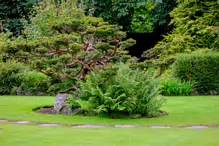 JAPANESE GARDENS [NEAR KILDARE TOWN 27 JULY 2009] X-234954-1