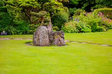 JAPANESE GARDENS [NEAR KILDARE TOWN 27 JULY 2009] X-234955-1