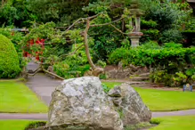 JAPANESE GARDENS [NEAR KILDARE TOWN 27 JULY 2009] X-234957-1