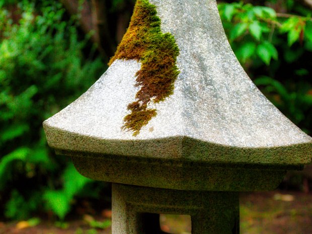 THE JAPANESE GARDENS The Japanese Gardens, within the grounds of the Irish National Stud just outside Kildare town, are a captivating...