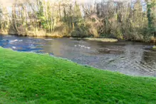 LIFFEY LINEAR PARK CHRISTMAS 2012 [ATHGARVAN ROAD SECTION]-238630-1