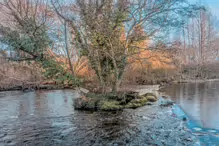 LIFFEY LINEAR PARK CHRISTMAS 2012 [ATHGARVAN ROAD SECTION]-238634-1