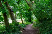 THE NEWBRIDGE SECTION OF THE LIFFEY LINEAR PARK INCLUDES A FAIRY WALK [14 AUGUST 2024]-238673-1