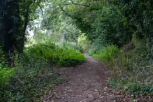 THE NEWBRIDGE SECTION OF THE LIFFEY LINEAR PARK INCLUDES A FAIRY WALK [14 AUGUST 2024]-238675-1