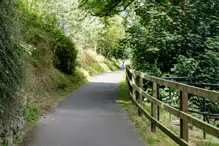 THE NEWBRIDGE SECTION OF THE LIFFEY LINEAR PARK INCLUDES A FAIRY WALK [14 AUGUST 2024]-238705-1